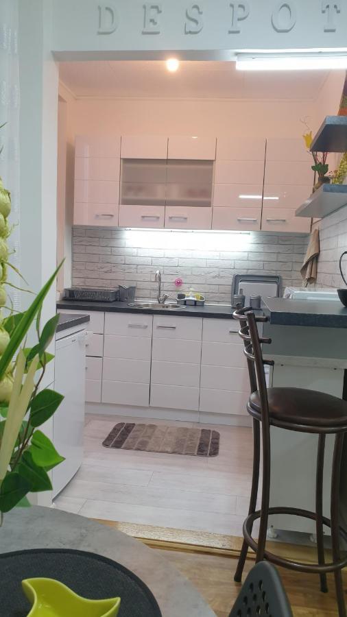 Despot Apartmani Ni מראה חיצוני תמונה