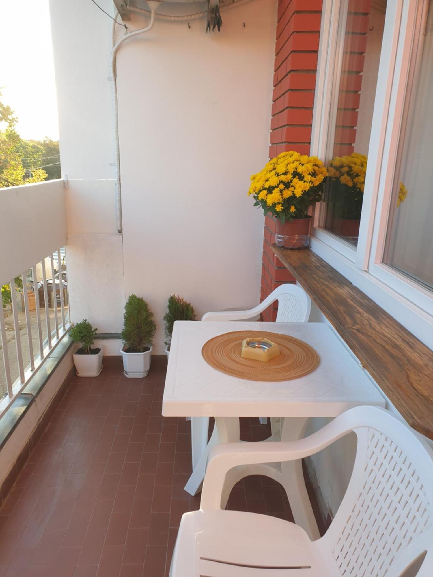Despot Apartmani Ni מראה חיצוני תמונה